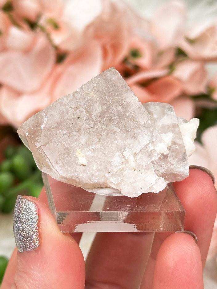 Product image 42